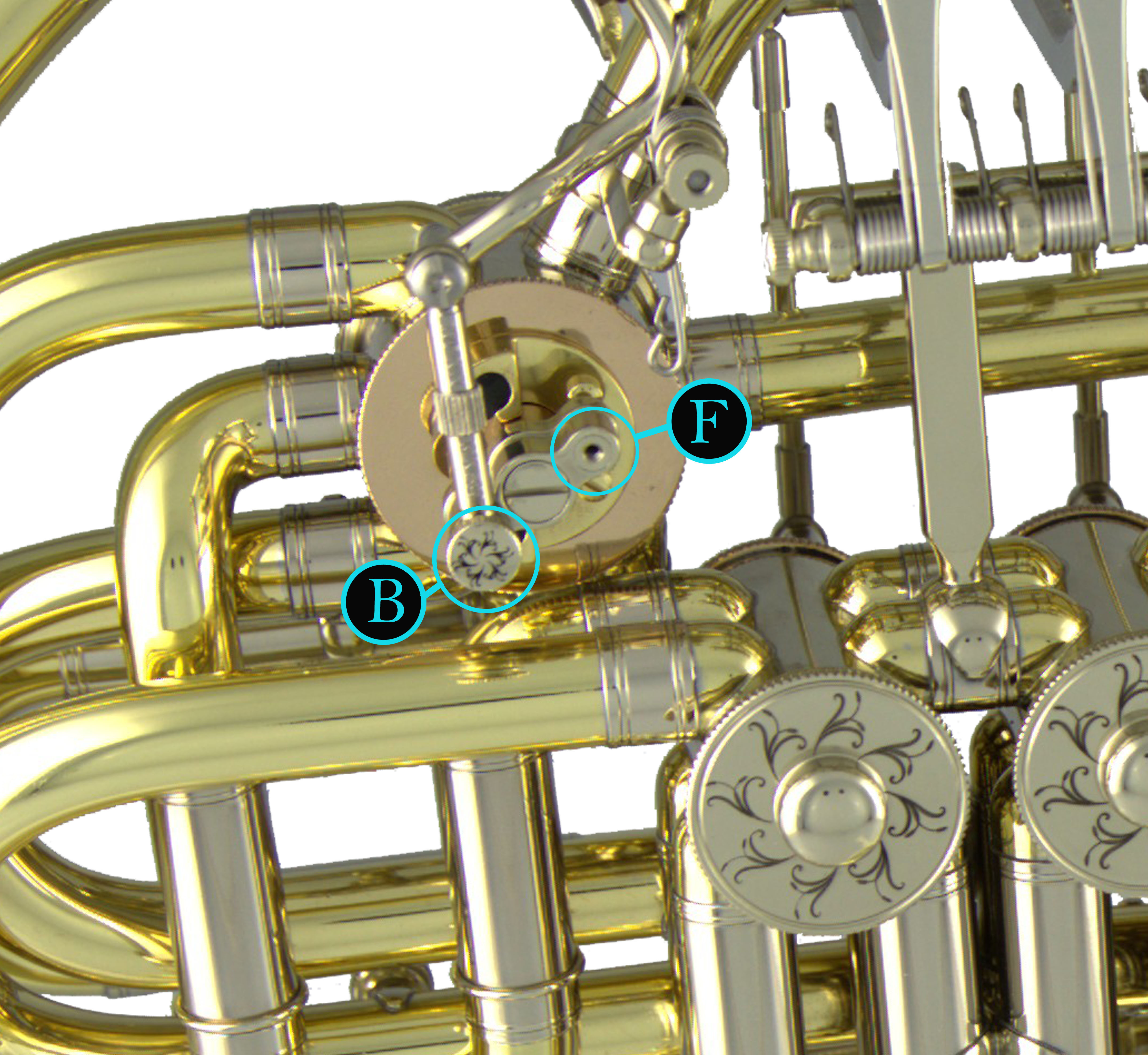 Model D3 3rd Generation