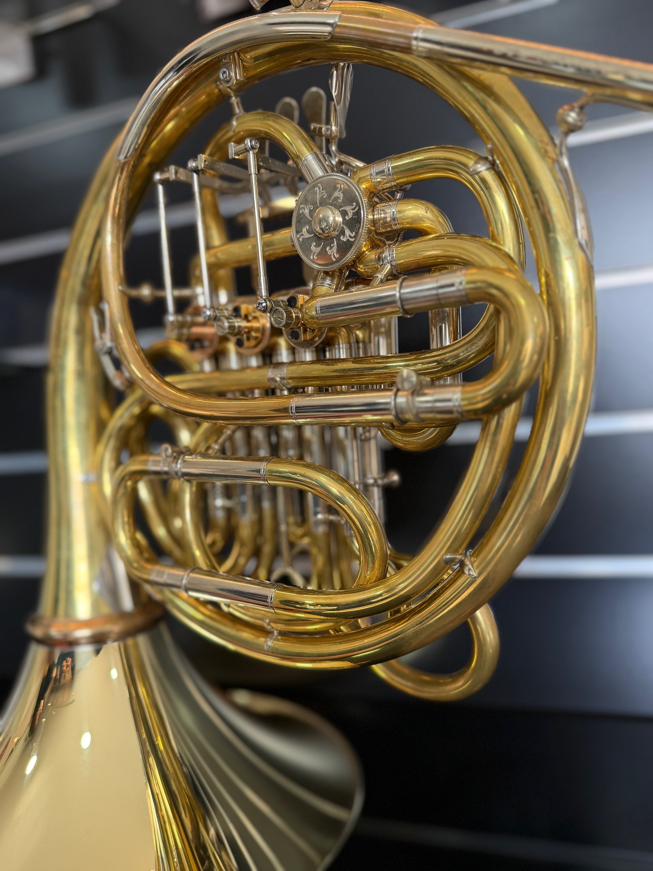 Double horn Dürk D3-Radek Baborak